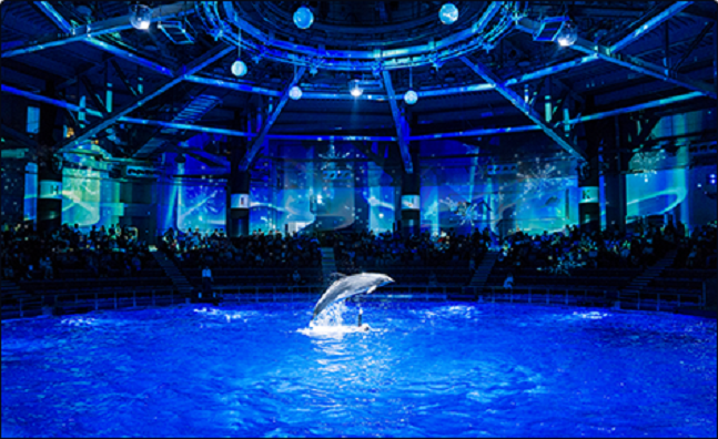 品川水族館變身冰雪世界!超夢幻的日本「SNOW AQUARIUM」展