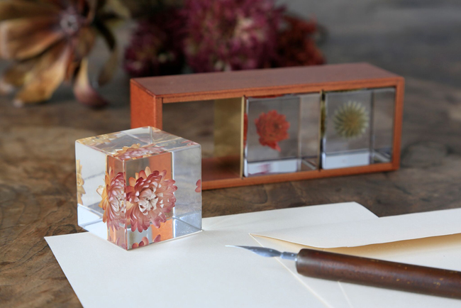 吉村紘一的標本方塊，將大自然封存於小宇宙