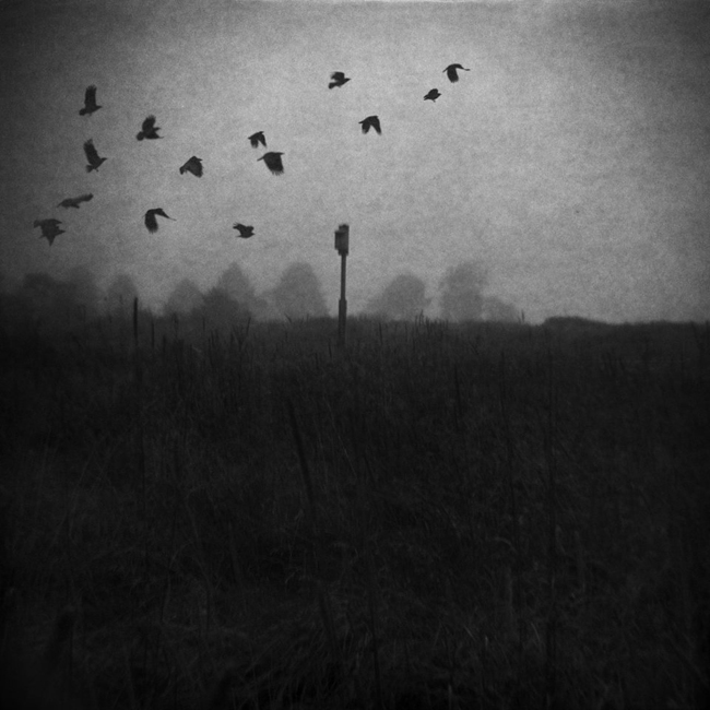 蹩腳相機攝影大賽，低科技也能拍出好作品