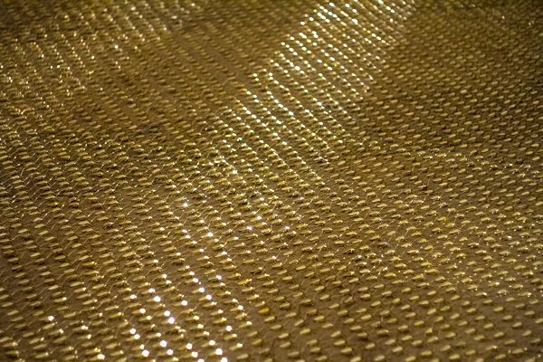 拿起拖鞋前先看仔細！鍍金的蟑螂雕塑（慎入：內有大量蟑螂）