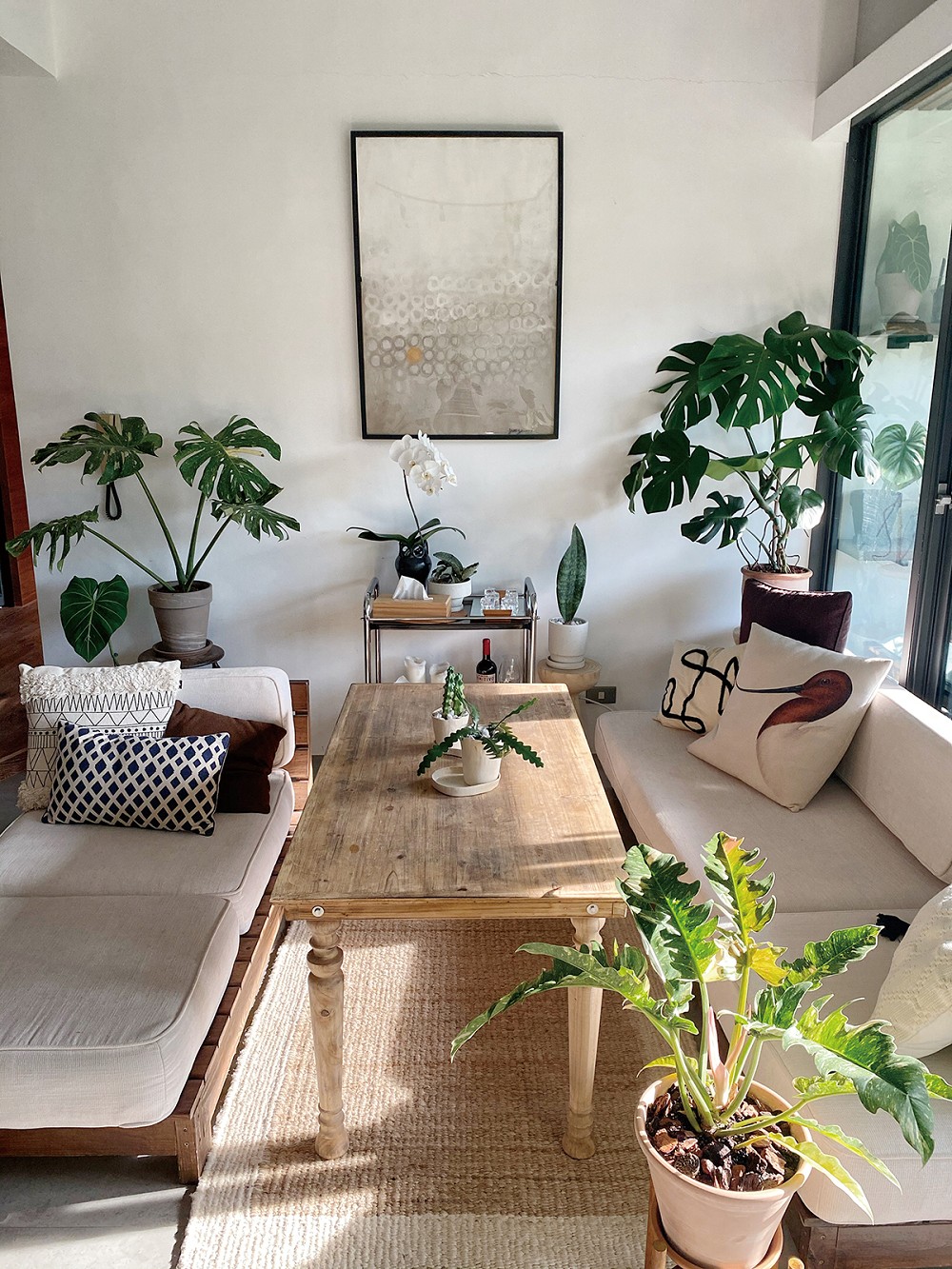 夏天植栽推薦！植物風格師Yuty的夏日綠意植物養護、空間佈置心法