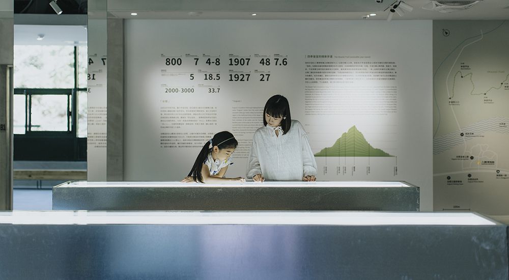 台中谷關「入關博物館」遊客中心新身！集結自然插畫、採集圖書館等4大亮點