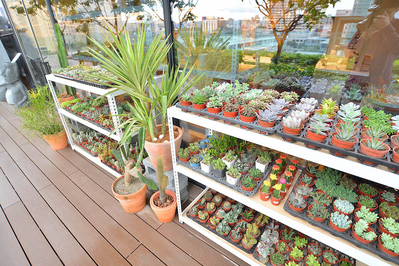 肉食主義者follow me！假日玩樂特搜4家微風南山超強「肉」店