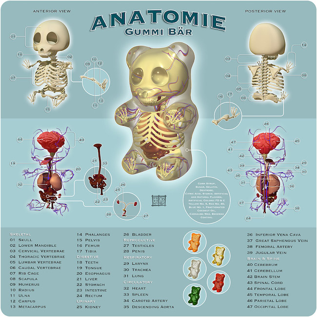 怪奇公仔藝術家 Jason Freeny 獨步全球的大型展覽！玩具解剖展 《JASON FREENY ASIA》揭幕最新奇的解剖想像與潮流趣味 