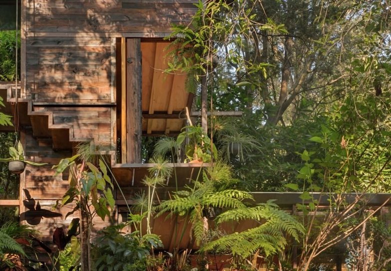 隱身綠意環抱的深處！入住令人稱羨的墨西哥漂浮樹屋 宛如置身人間秘境
