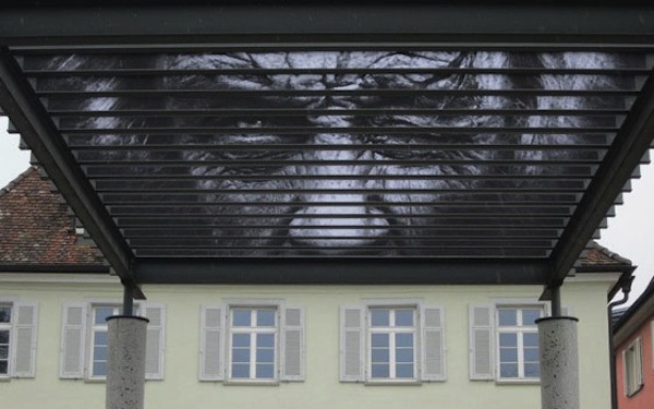 換個角度！你也能找到隱身在都市叢林中的斑馬塗鴉