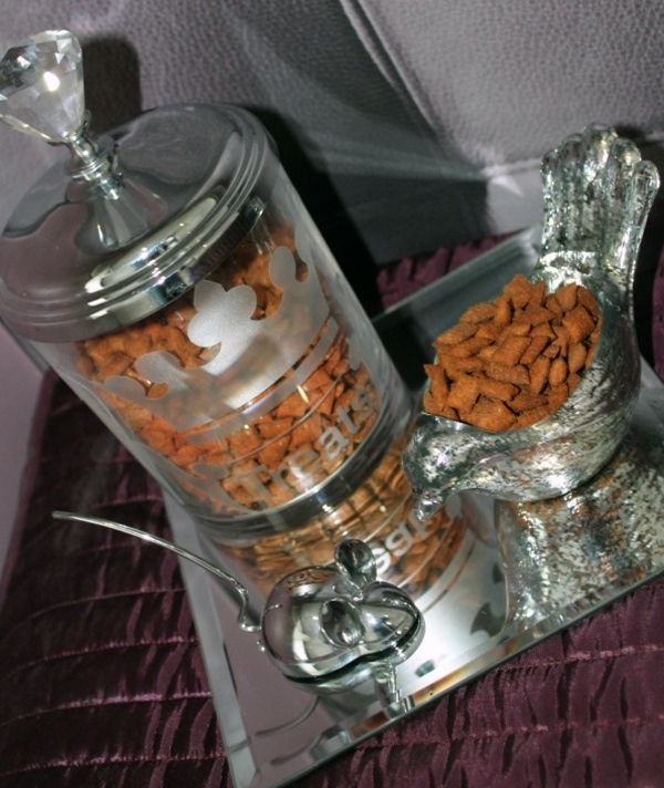 專門給貓咪寄宿的豪華酒店