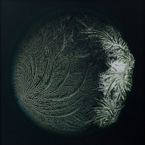 既美麗又邪惡的毒品顯微攝影集