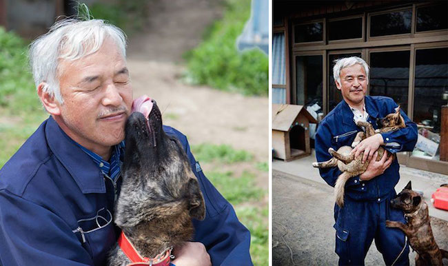 世界上最溫暖的愛！日本「福島動物守護者」松村直登與災區動物的動人攝影