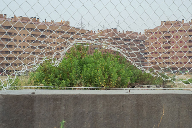 剛好按下快門！事先沒計畫的「巧合計畫」