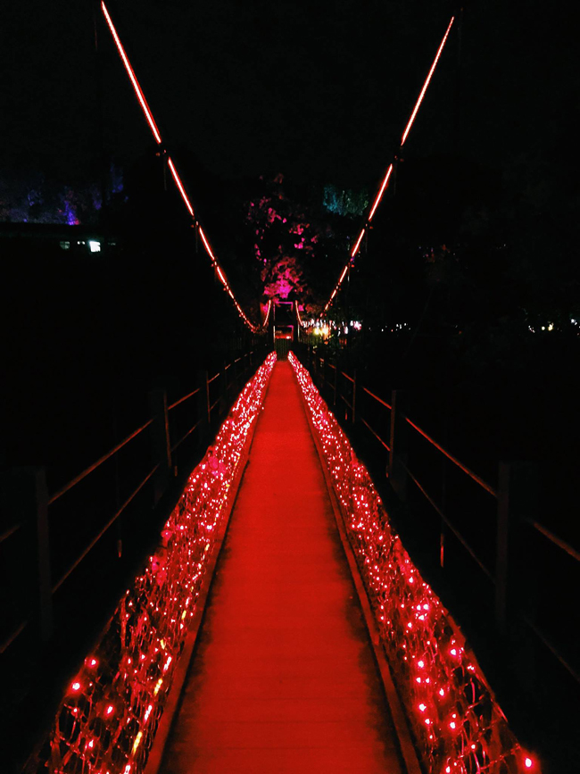 【心得分享】愛愛搖滾帳篷音樂節-愛音樂,更愛設計