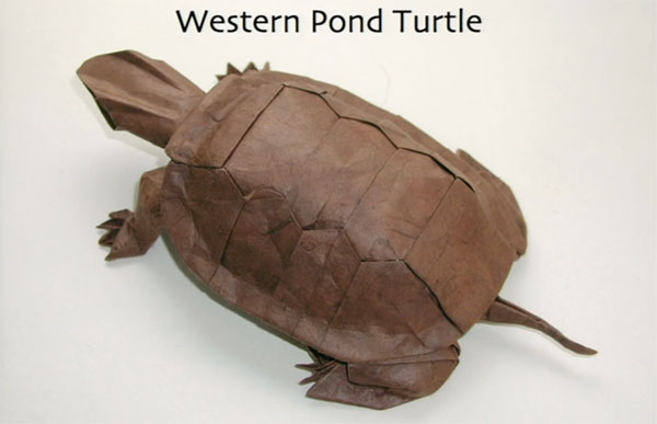 徹底改變你對摺紙的概念，Robert Lang 的數學摺紙法