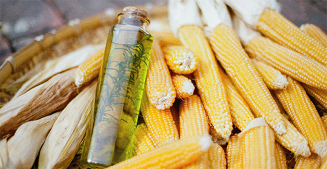 用整支玉米爆出來的健康原味！台灣農地契作 Cornmeleon 有梗爆米花