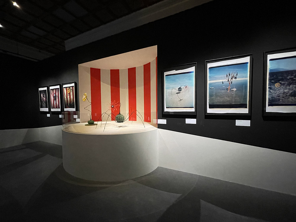 《提姆波頓異想世界》台北登場！10大展區集結手稿、雕塑、影像等500件創作