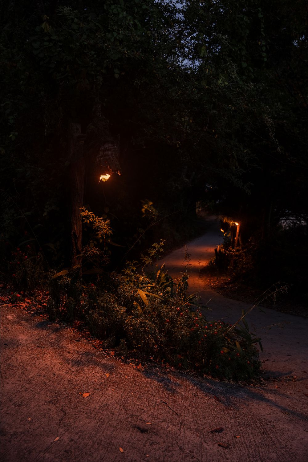 最美的台灣「光景」!2020 台灣光環境獎決選名單出爐,新港媽祖廟、河樂廣場、司馬庫斯部落等7件作品入圍