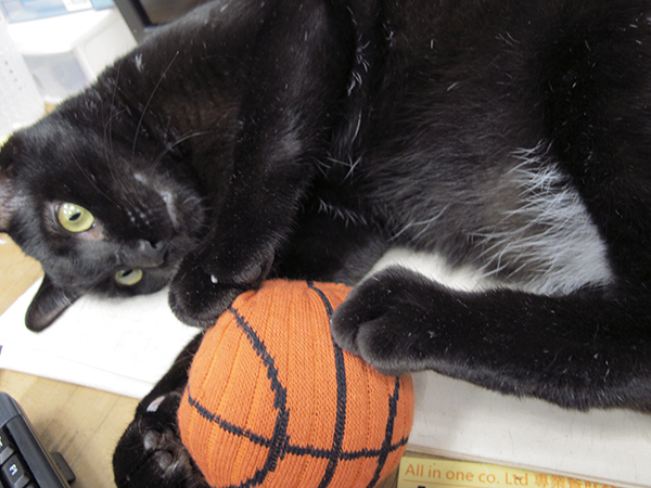 【生活玩物】哥穿的不是襪子，是品味：25TOGO 造型球襪