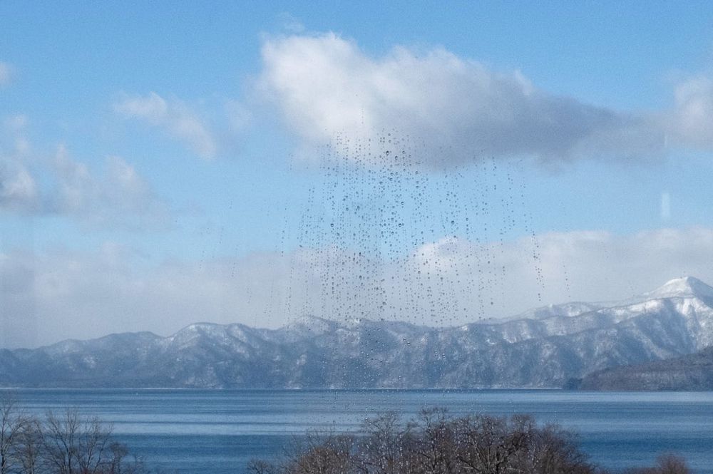 捕捉幽默街拍！香港街頭攝影師Edas Wong拍下爆炸頭樹景、路人長角的趣味作品