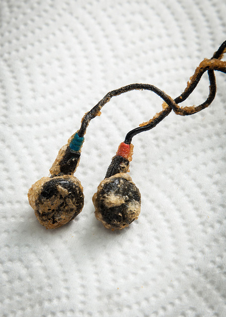 只融你手，不融你口的油炸哀鳳！