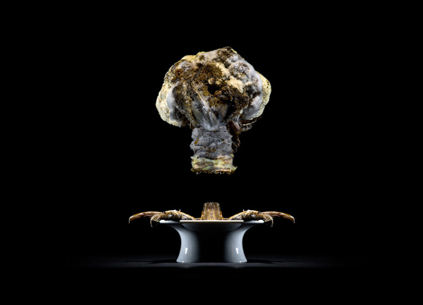 下次記得把你餐盤裡的東西吃光吧！（圖片可能引起不適，請自行斟酌）