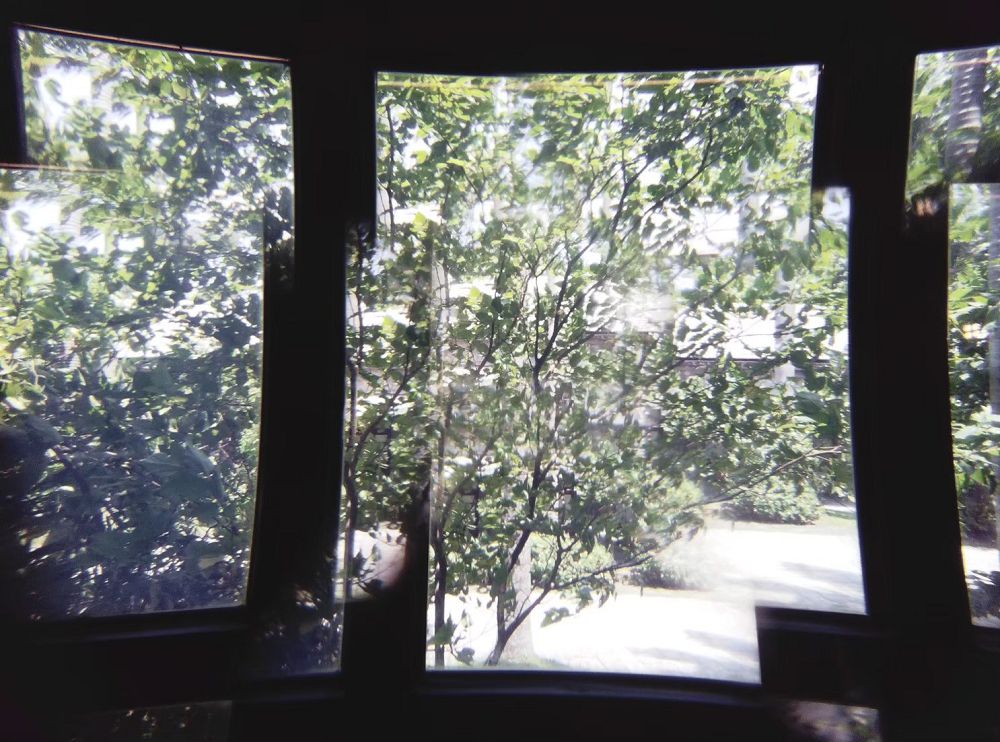 花玻璃紋、柚葉躍上紙相機！台泰設計師「Thinkk & SHOOT」環保相機於松菸風格店家上市