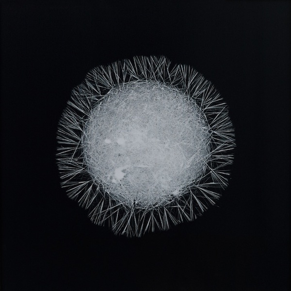 既美麗又邪惡的毒品顯微攝影集