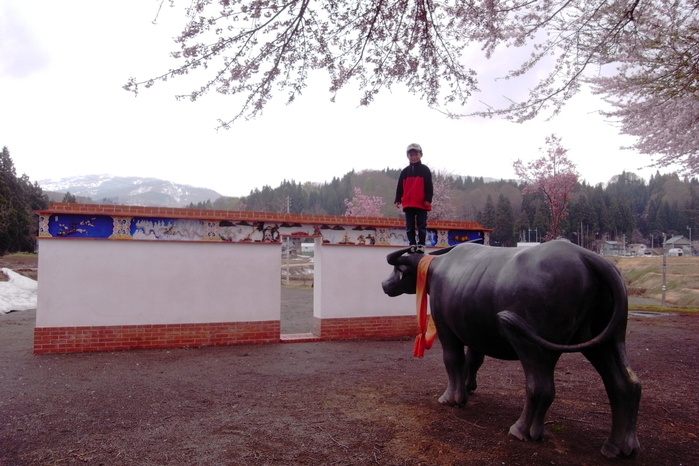 『越後妻有大地藝術祭』的文創這麼做，先有土地，然後才講藝術！