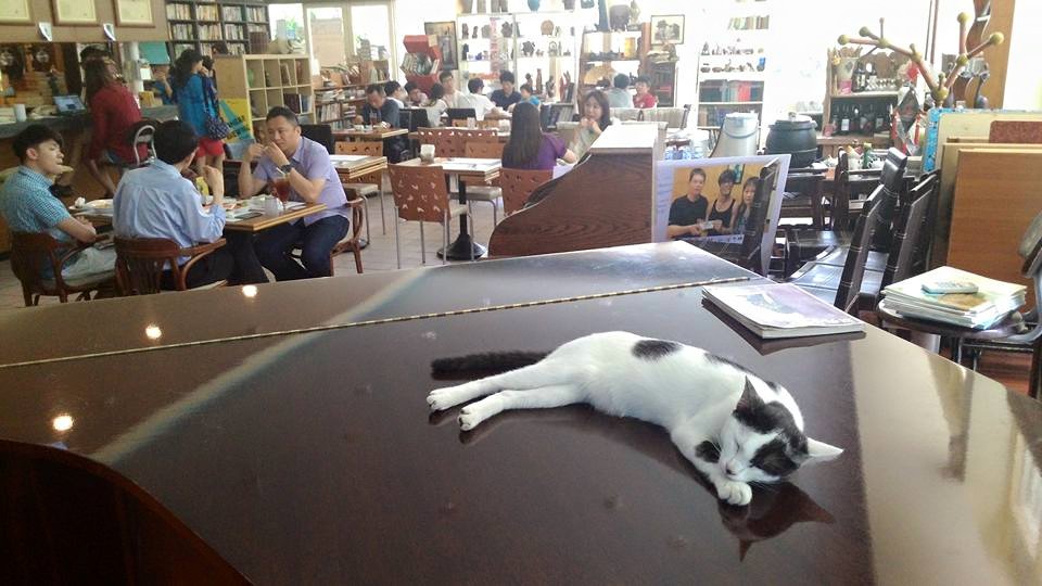 【天天卡】追尋舊書的老靈魂－全台二手書店巡禮