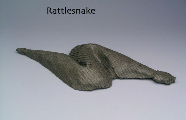 徹底改變你對摺紙的概念，Robert Lang 的數學摺紙法