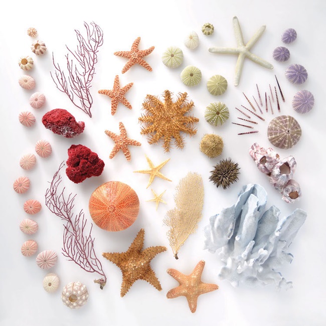 大自然的色彩通通網羅！一本彩虹百科全書