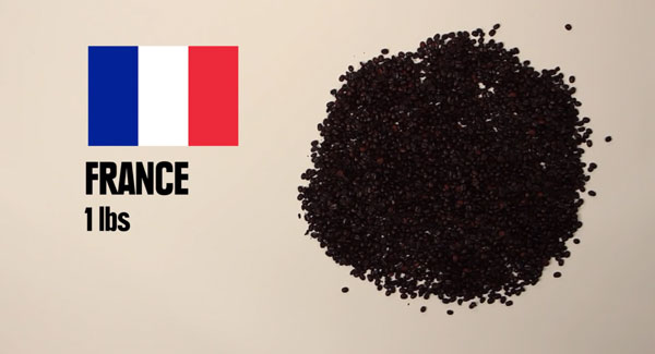 150 元、600 元的台幣可以買到多少食物或…毒品？