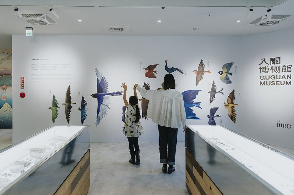 台中谷關「入關博物館」遊客中心新身！集結自然插畫、採集圖書館等4大亮點