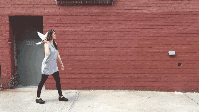 紀念你振翅飛翔的身影,曾經絕種的北美旅鴿意象重現