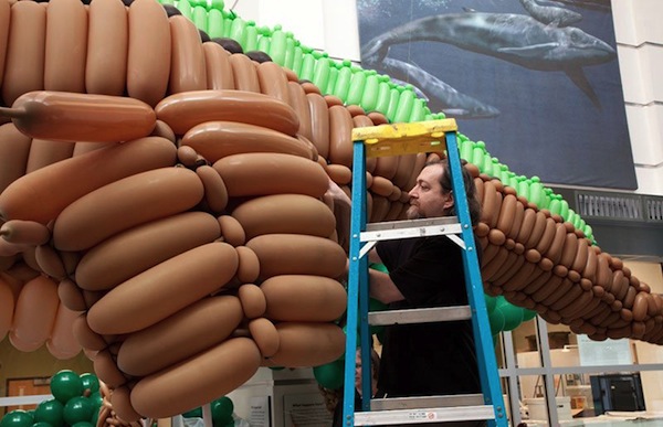 是什麼風把恐龍吹進博物館裡!