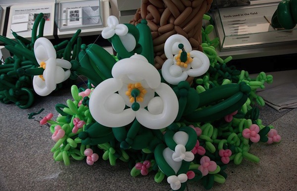 是什麼風把恐龍吹進博物館裡!