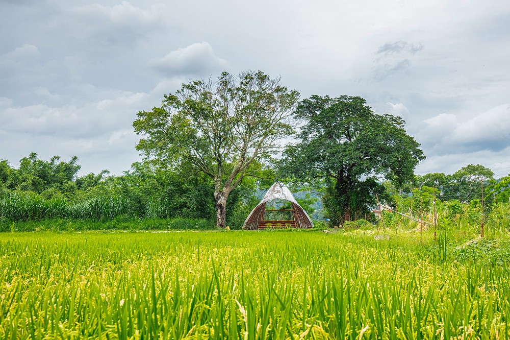 2023浪漫台三線藝術季亮點!巨型穿山甲、石虎雕塑20+藝術裝置、設計作品