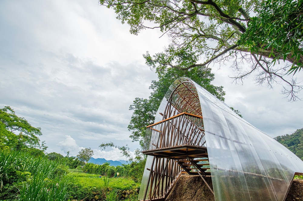 2023浪漫台三線藝術季亮點!巨型穿山甲、石虎雕塑20+藝術裝置、設計作品