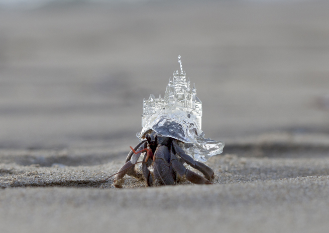3D列印寄居蟹殼正式上路，將水晶婚禮教堂殼揹著趴趴走！