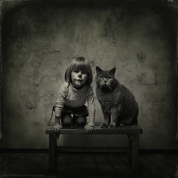 小女孩x貓咪=無與倫比的萌感