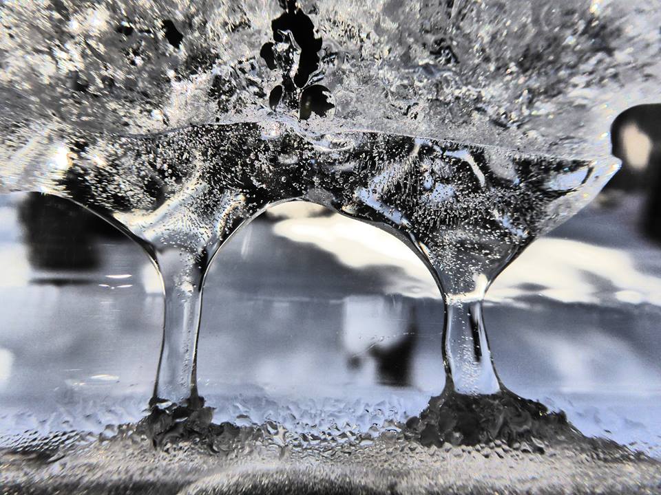 回到攝影的原點－2015台北藝術攝影博覽會