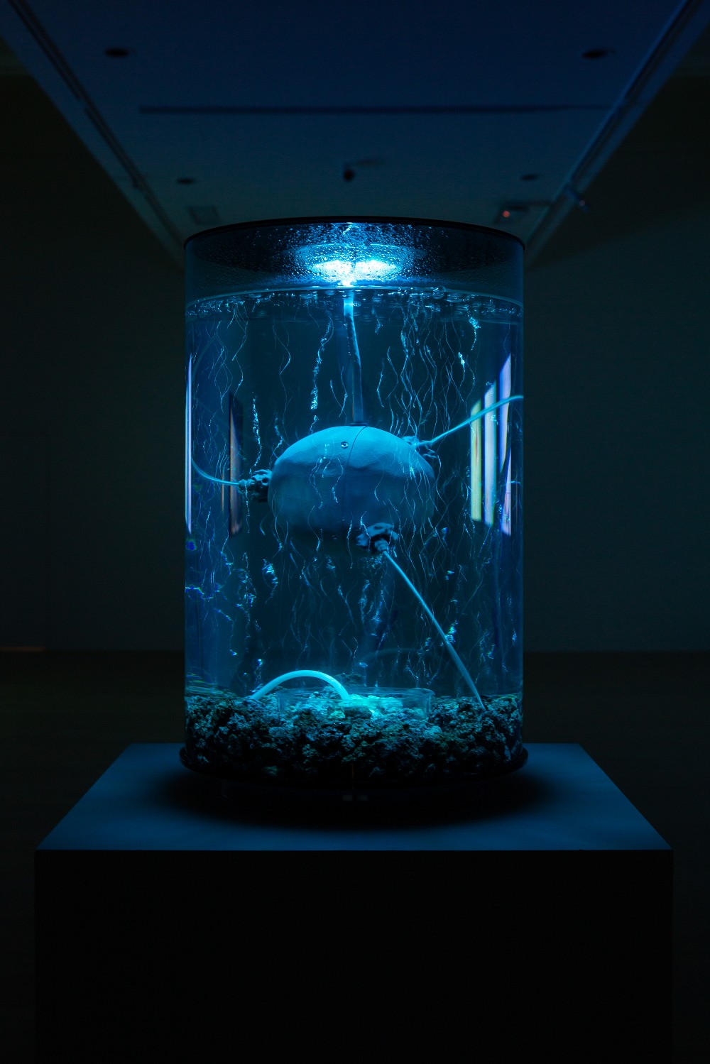 北美館《未來身體：超自然雕塑》亮點！33件超寫實雕塑演繹後人類時代的肉身幻想