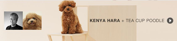 【DIY OK】超海派!13款寵物專用遊戲間結構圖分享