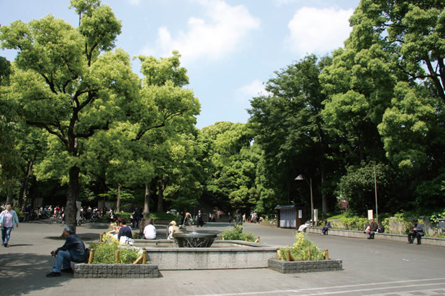 最極致的東京Shopping之旅，連房子都放進購物清單裡！