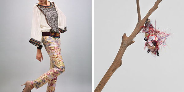 毛毛蟲的服裝秀，利用華服幫簑衣蟲造衣