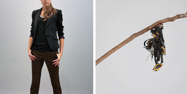 毛毛蟲的服裝秀，利用華服幫簑衣蟲造衣