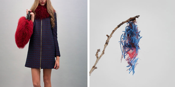 毛毛蟲的服裝秀，利用華服幫簑衣蟲造衣