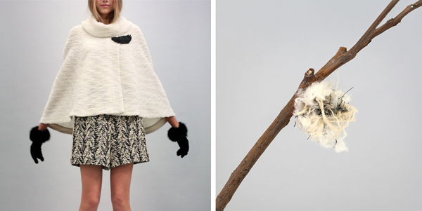 毛毛蟲的服裝秀，利用華服幫簑衣蟲造衣