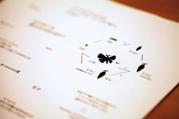 毛毛蟲的服裝秀，利用華服幫簑衣蟲造衣