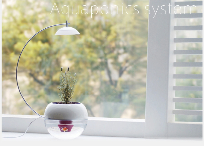 【台灣設計】香草與魚Mini，以及無比美麗的心情