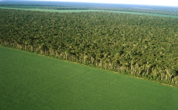 GOOGLE帶你了解20多年來地球的變化