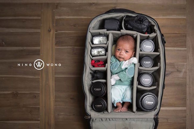 寶貝與寶貝的對決！到底誰才值得最好的保護！